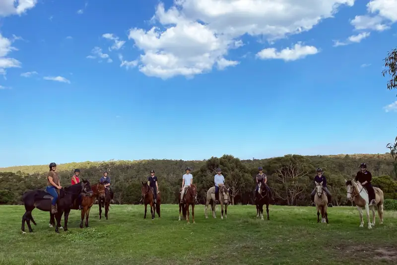 A group of riders lined up on a green paddock under a blue sky, with bush behind